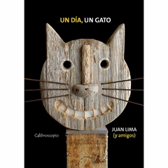 Un día, un gato