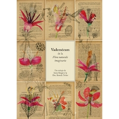 Vademécum de la flora naturalis imaginaria - comprar online