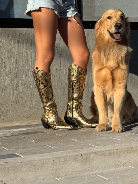 BOTA MARRUECOS ALTA REPTIL DORADA - comprar online