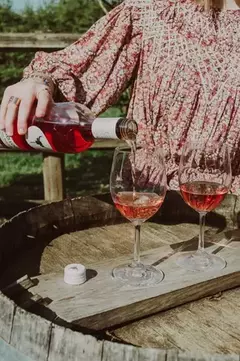 Vinho Rosé Espanhol Superior Toro Loco Utiel-Requena 750ml - loja online