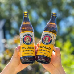20 Garrafas Cerveja Alemã Paulaner Munchner Hell 500ml - loja online