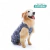 Golden Retriever usando roupa protetora para membros posteriores Pet Med Dry Light Supreme, ideal para recuperação pós-cirúrgica e proteção dermatológica canina.