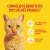 Alimento Úmido Sachê Friskies Sabor Megamix Molho Cremoso para Gatos Adultos - Pet Here - O Seu Pet Shop Online