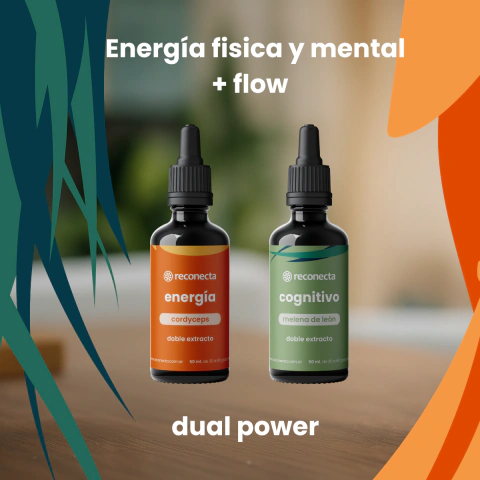 Kit Dual Power
