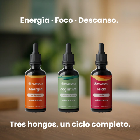 Kit Ritmo