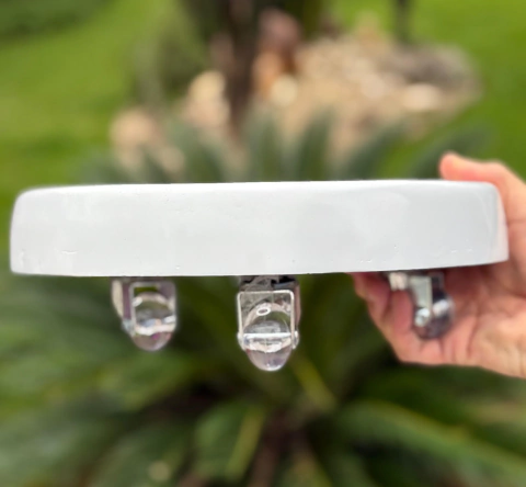 Pratos Maciço - comprar online