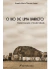 O RIO DE LIMA BARRETO:modernização e modernidade