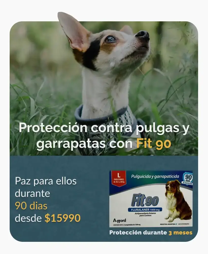 Carrusel