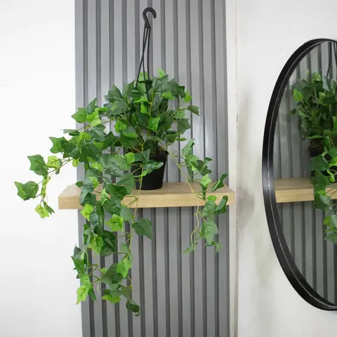 Planta Hiedra 50 cm