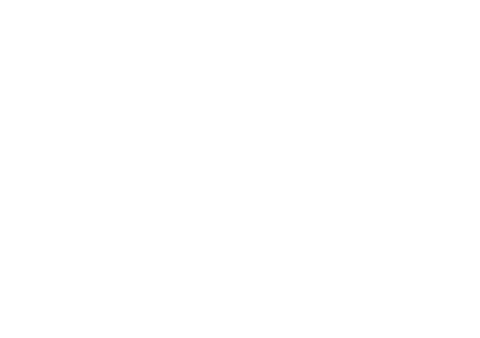 GS CAMISETAS