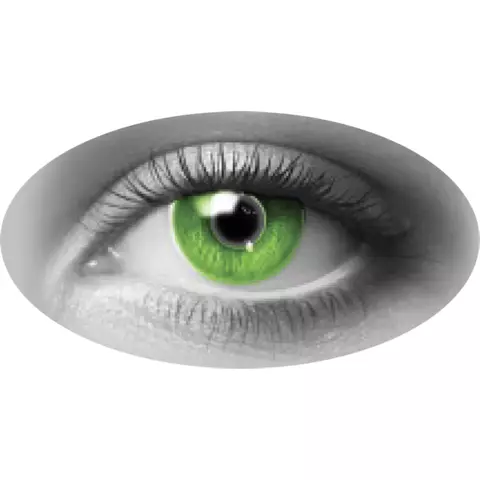 Pupilentes - comprar en línea