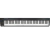 Nektar Impact GXP88 - comprar online