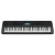 Teclado Yamaha PSRE-383 - comprar online