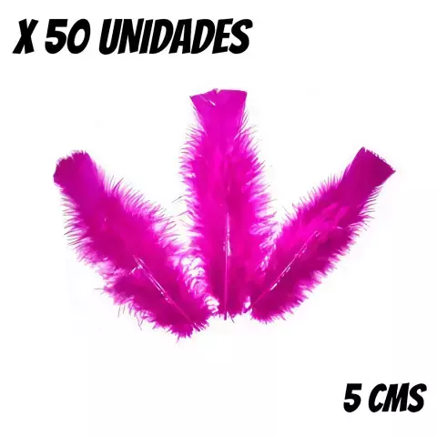 PLUMA ECONOMICA CHICA FUCSIA N°17 x50 APROX. art.100 C.B.X - comprar online