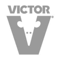 Marca 11 de matabichos