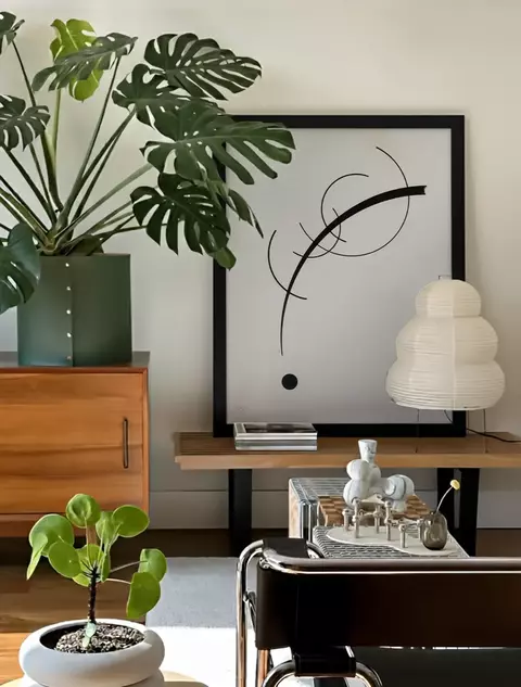 Free Curve to the Point - comprar online