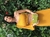 Bolsa Festa Clutch Verde Fecho Folha - comprar online