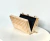 Bolsa Festa Clutch Acrílica Champagne Perolada Camadas - loja online