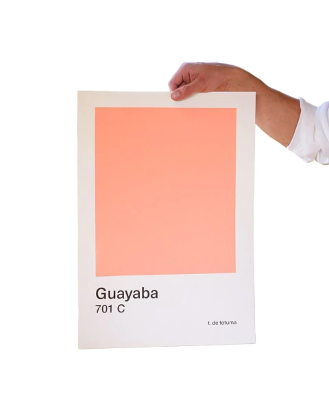 Afiche Mini Guayaba - comprar en línea