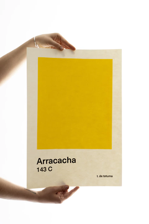 Afiche Grande Arracacha - comprar en línea