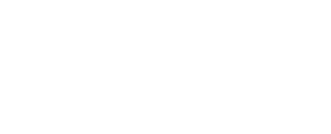 Mestiza arte y color