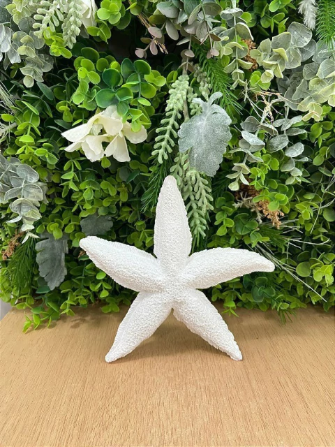 Escultura Estrela Branca Decorativa Poliresina 3X20cm - comprar online