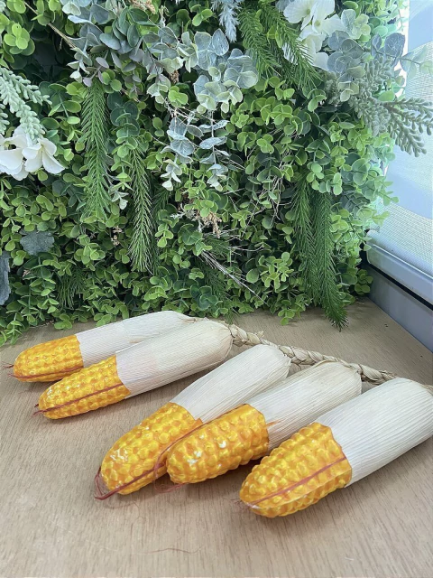 Milho Decorativo - comprar online