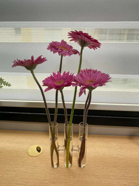 Vaso 3 Tubos Essencial Vidro - comprar online