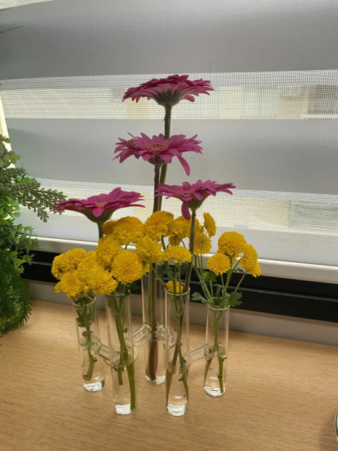 Vaso 5 Tubos Essencial Vidro 22cm - comprar online