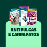 Categoria 4