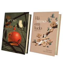 COLEÇÃO COMPLETA POESIA -4 LIVROS - INCLUINDO PRIMAVERA SOBRE UMA CASA EM RUINAS - comprar online