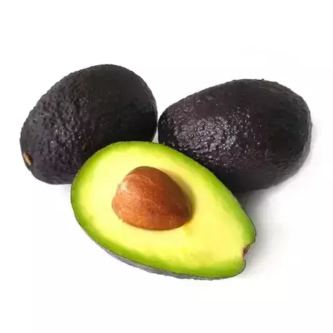 PROMO PALTA HASS BABY (x 20 Unidades)