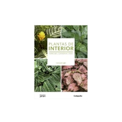 Plantas De Interior - Lucía Cané