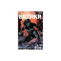 Brzrkr Nº 11/12 - Matt Kindt