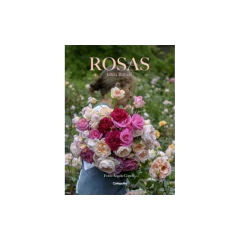 Rosas - Clara Billoch
