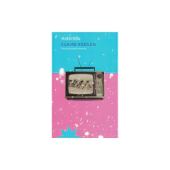 Antártida - Claire Keegan