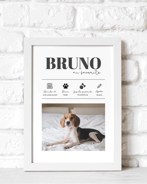 Cuadro personalizado Mascota · con Foto y Datos - comprar online