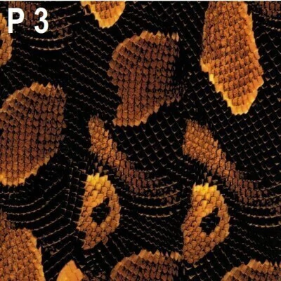 P3 - comprar en línea