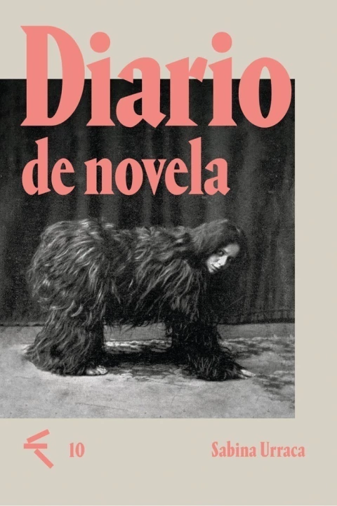 DIARIO DE NOVELA