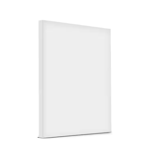 TELA DE PINTURA 30X60 SOUZA