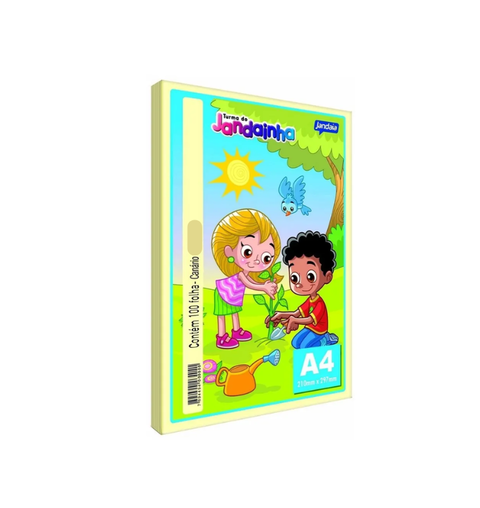 PAPEL 75 GM2 210X297 A4 AM 100FL JANDAIA