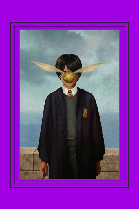 QUADRO HARRY E O POMO DE OURO - comprar online