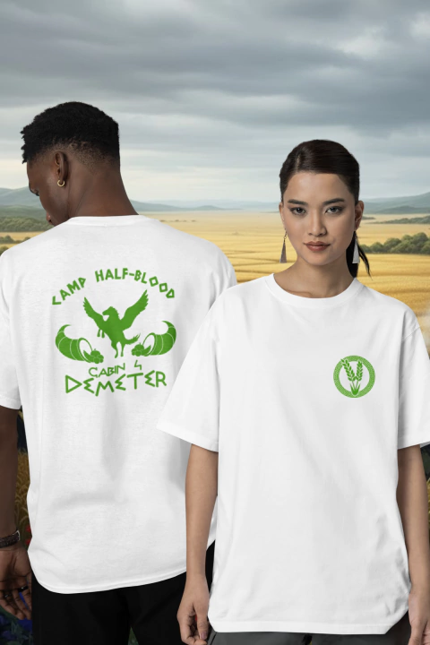 CAMISETA CABIN 4 DEMETER OVERSIZED - comprar online