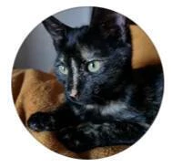 Testimonio de Geekou Oficial