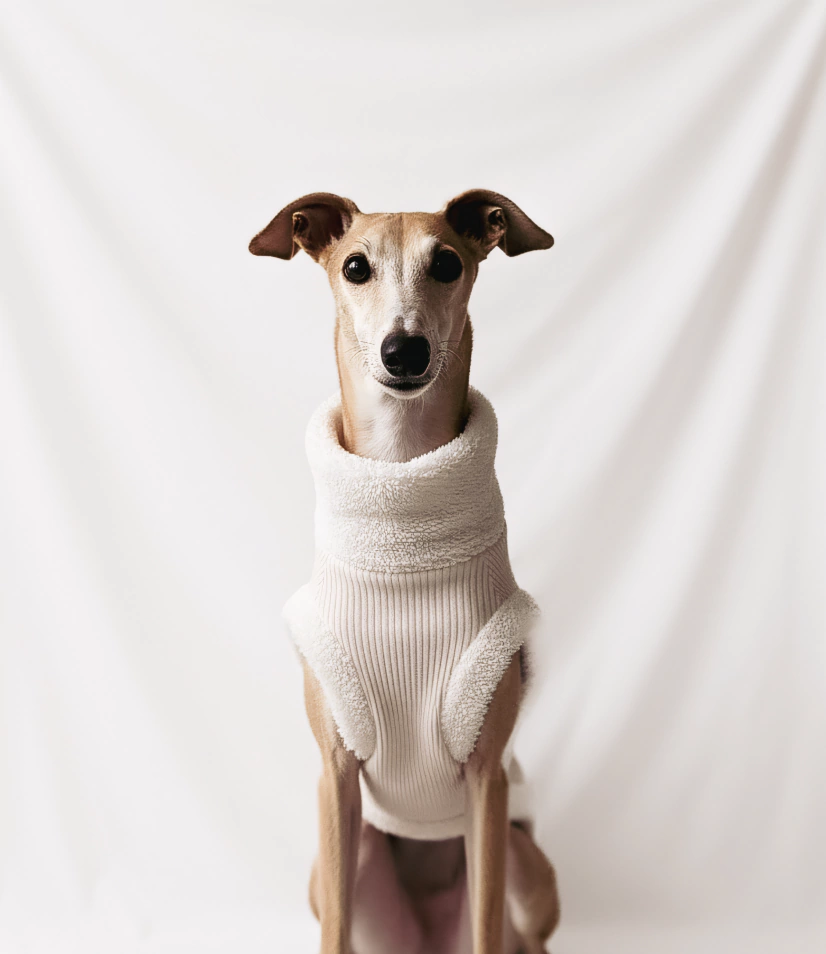 Pétala Veludo Canelado - Bege