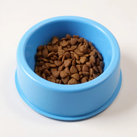 Plato Plástico para Mascotas 15,5cm