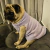 SWEATER Otoño pastel en internet