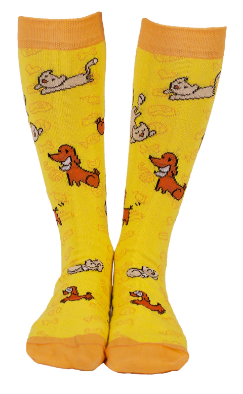 Meia Cães e Gatos - comprar online