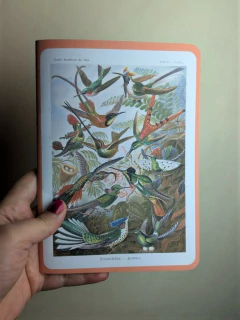 Libreta Colibríes