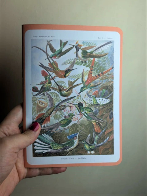 Libreta Colibríes